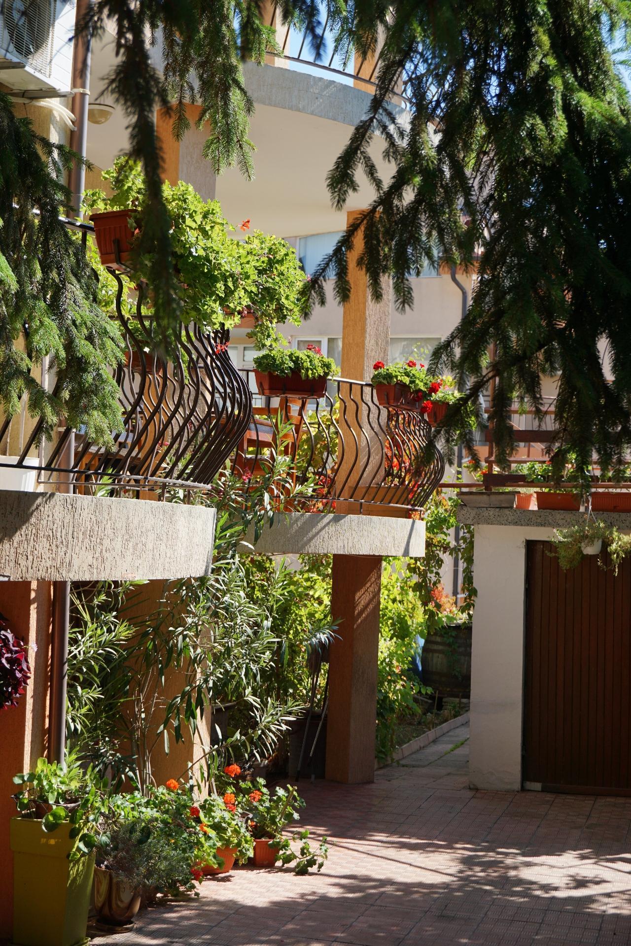 Kalina Guest Rooms سوزوبول المظهر الخارجي الصورة