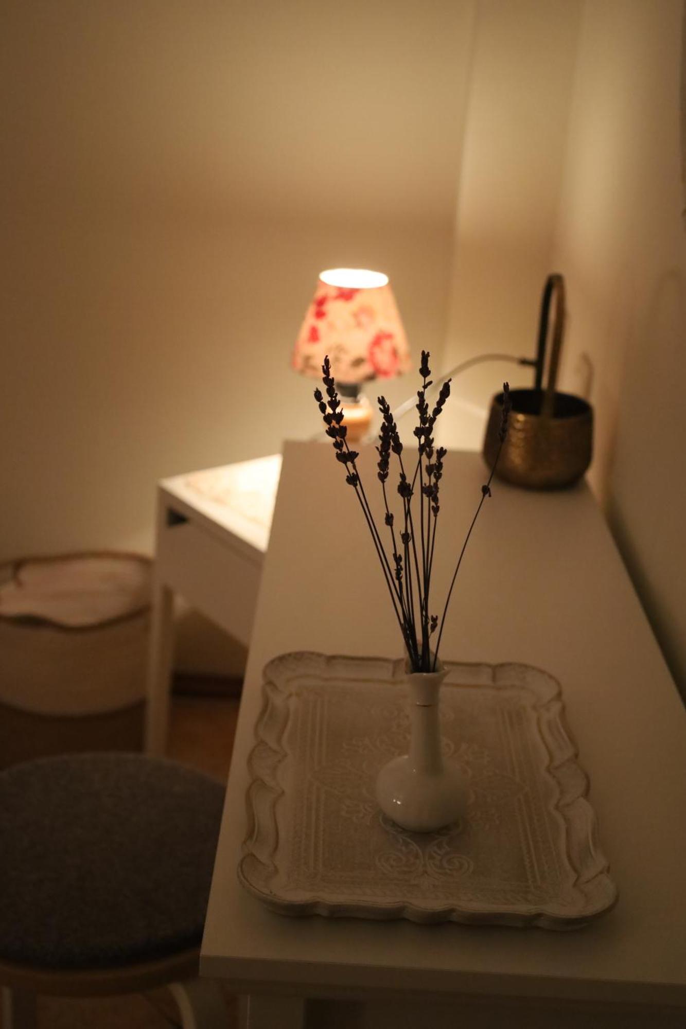Kalina Guest Rooms سوزوبول المظهر الخارجي الصورة